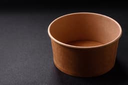 Paper Bowl