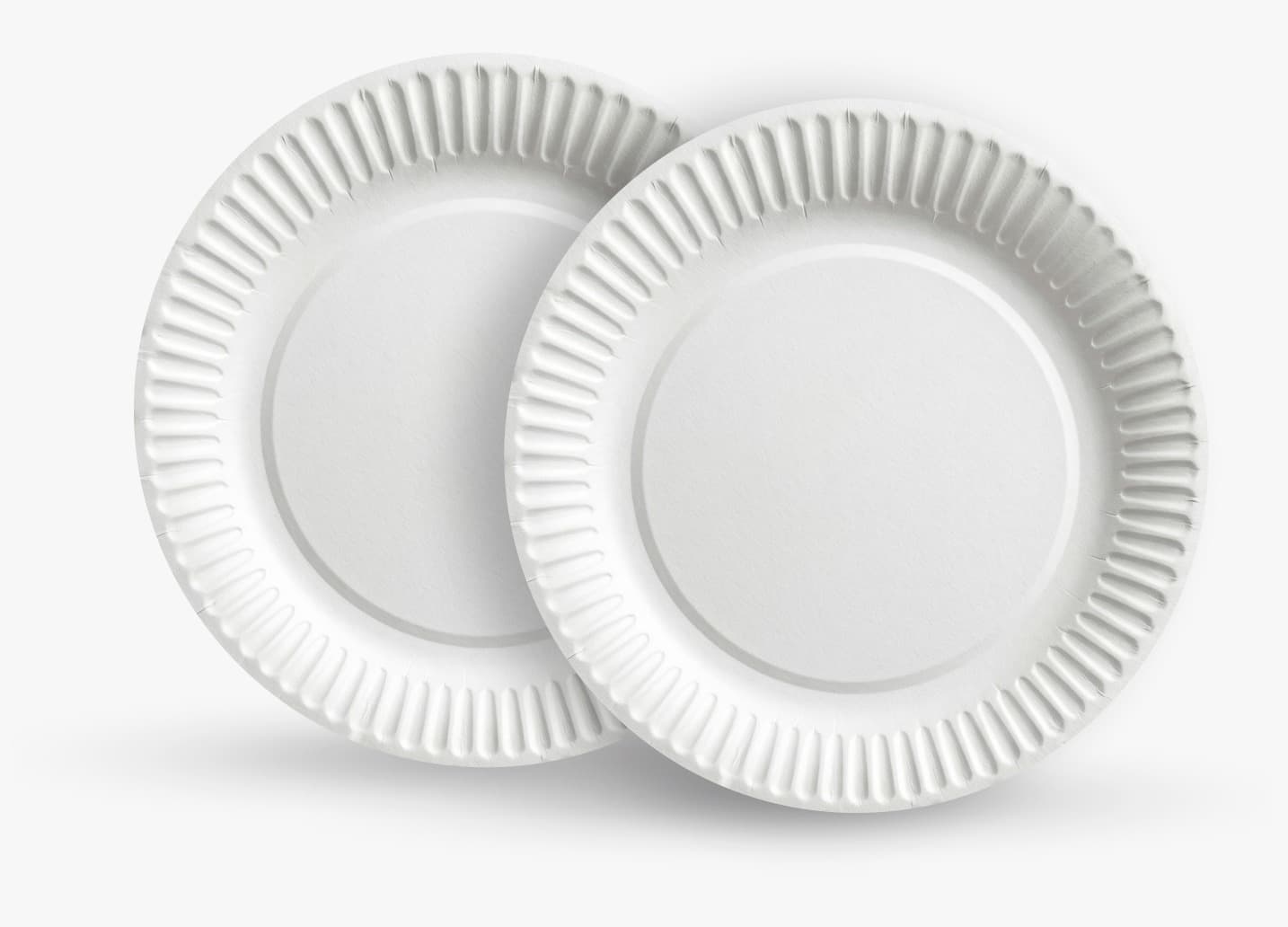Paper Plate